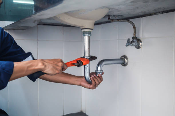 Best Commercial Plumbing Services  in Milliken, CO