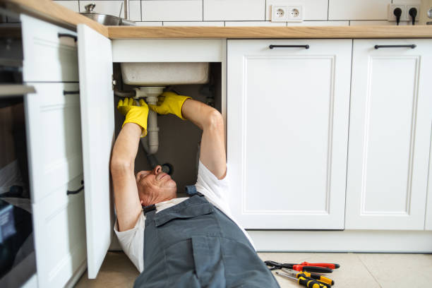 Best Local Plumber Services  in Milliken, CO